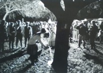 from 'Orchards' in the Common Ground Archive © James Ravilious.