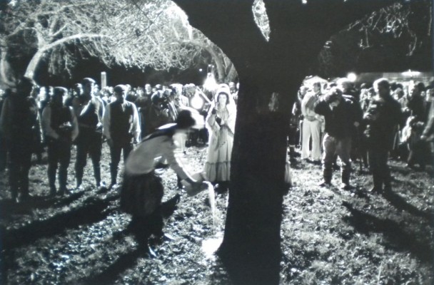 from 'Orchards' in the Common Ground Archive © James Ravilious.