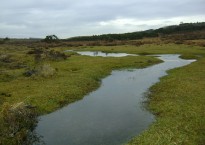 All images by Neil Ansell.