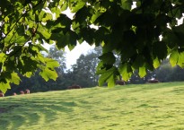 Image: Luke Thompson