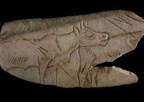 Engraved drawing of reindeer on bone, 14,000 years old, The British Museum.