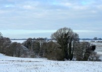 Photographs by Philip Dunshea.