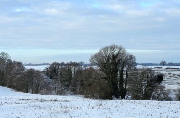 Photographs by Philip Dunshea.