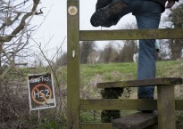 Photograph © Daniel J Norwood