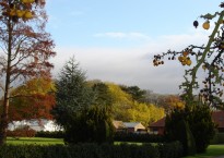 Yvonne Reddick: Girton's Tree Nursery