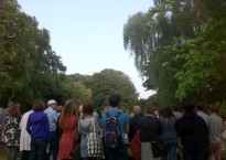 All images by Evelyn O'Malley