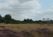 Hounslow Heath, Katherine Price