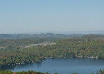 Image: Isabel Galleymore