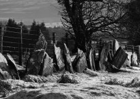 Image: James Roberts