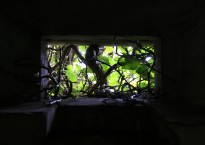 Image: Melissa Harrison