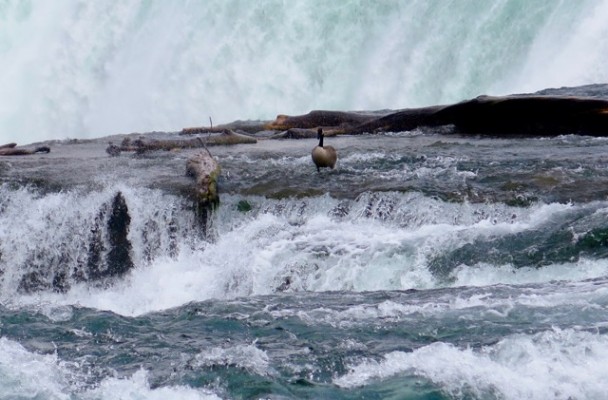 Image by Polly Atkin