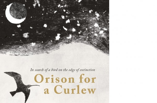 Orison-Jacket150-713x1024