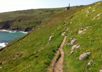 Image by Annabel Banks