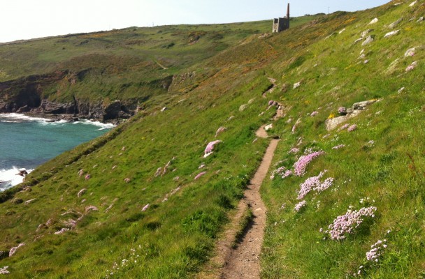 Image by Annabel Banks