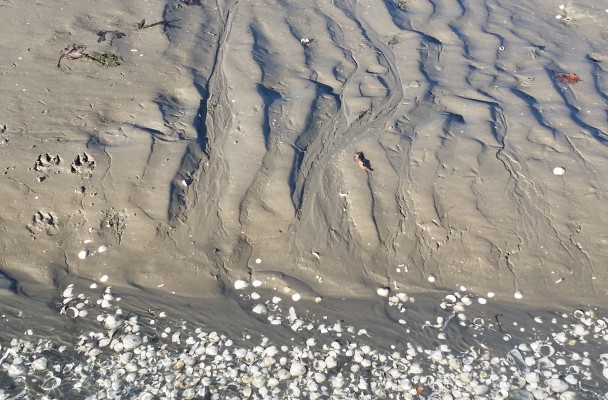 Image by Amanda Bell