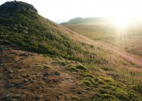 Image: James Roberts