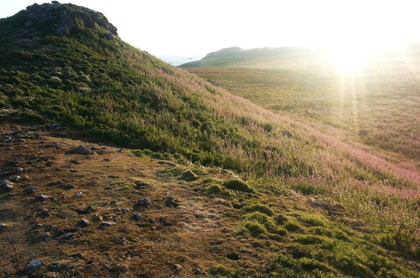 Image: James Roberts