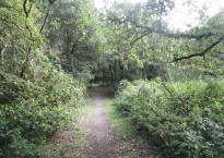 Image by John Greening