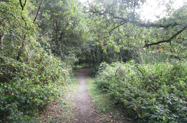 Image by John Greening